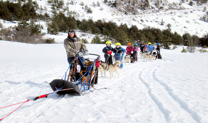 chiens de traineau-colonie de vacances-centre de vacances Léon Bourgeois-Serre Chevalier-Hautes Alpes